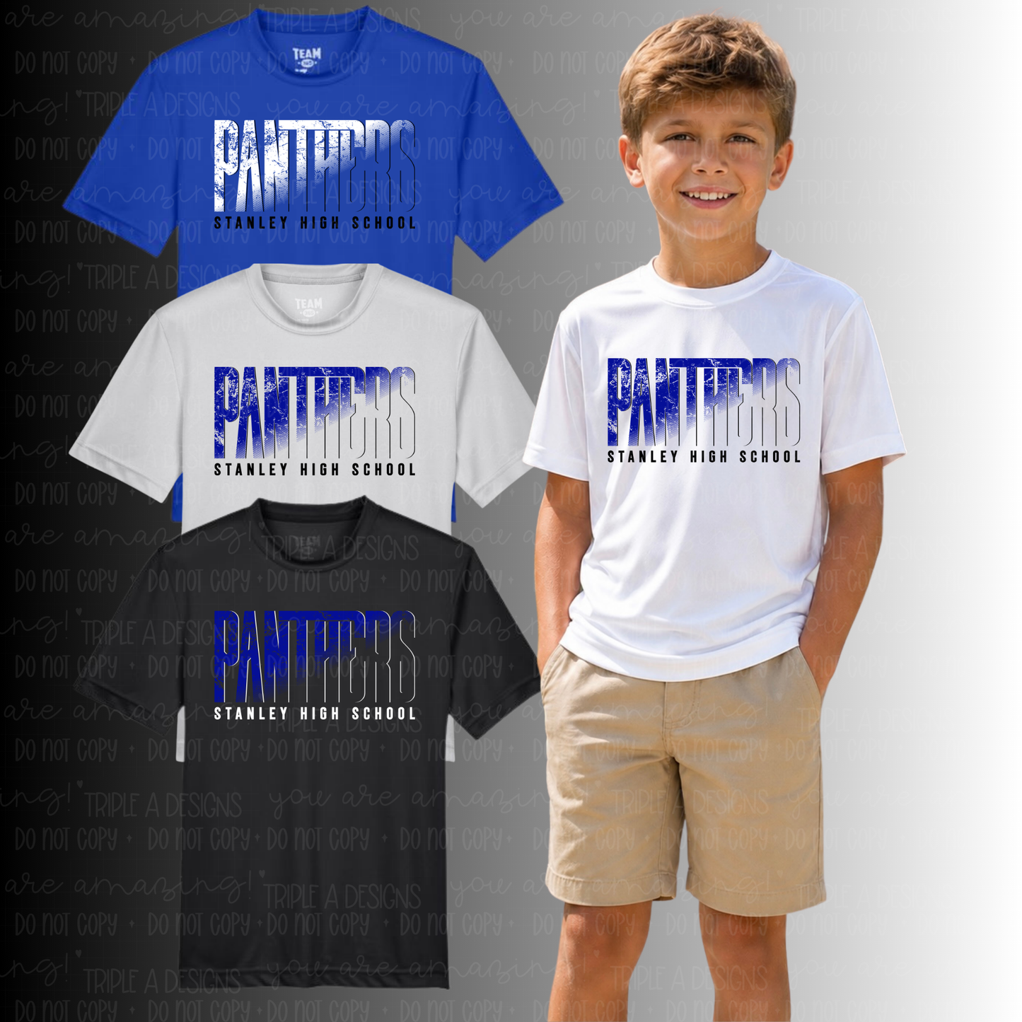 Panthers-Stanley High School Distressed Design